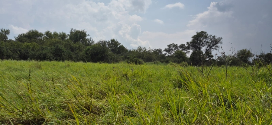 0 Bedroom Property for Sale in Koster North West